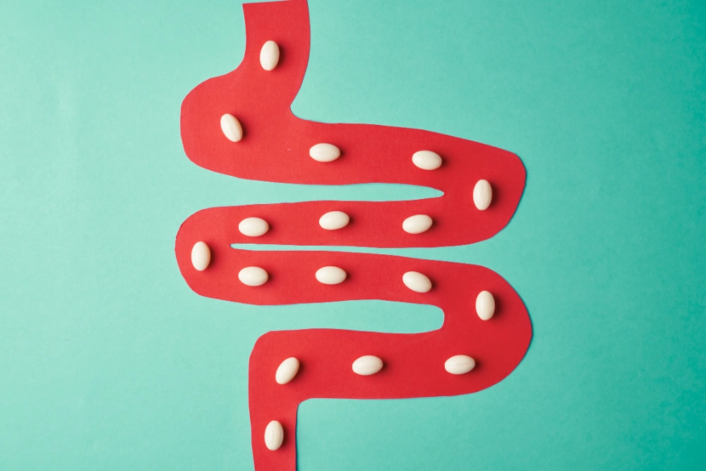 probiotic health supplement, bpom supplement registration